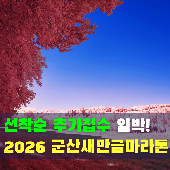  선착순 추가 접수! 2026 군산 새만금 마라톤 모집 인원 기념품 코스 총정리