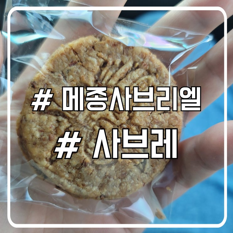  시흥 디저트 선물 고민 끝｜메종사브리엘 사브레 쿠키