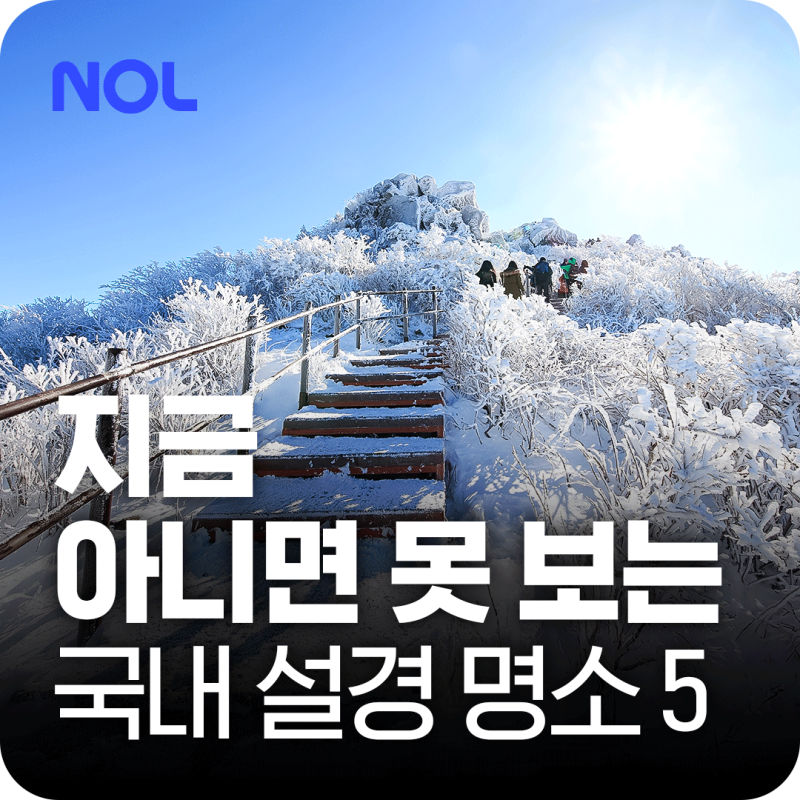 국내 겨울 여행지 추천｜지금 아니면 못 보는 설경 명소 겨울 가볼만한곳 BEST 5
