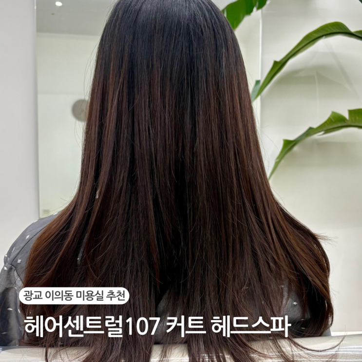 광교 이의동 헤어 HAIR CENTRAL 107 커트 포함 두피클리닉 헤드스파 미용실 채연실장님 추천