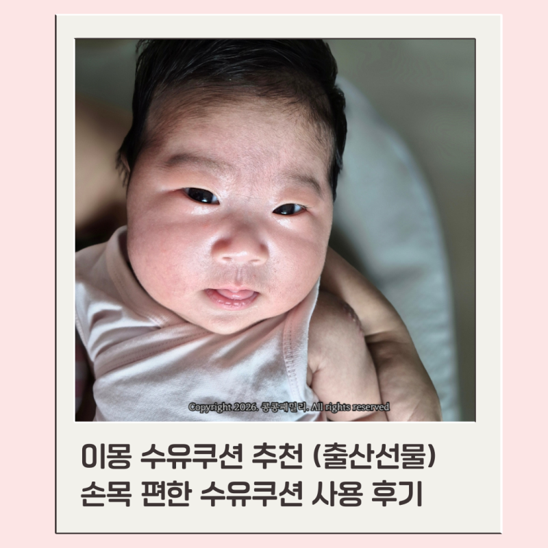 이몽 수유쿠션 추천 손목보호 손목 편한 쿠션 사용 후기