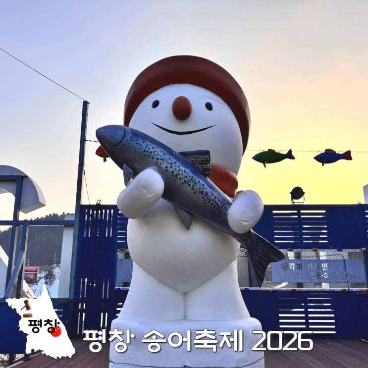  2026 평창 송어축제 0마리? 입장료 예약 방문 후기