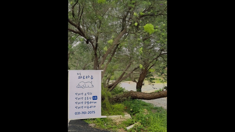 사진 3