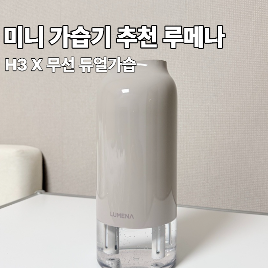 미니가습기 루메나 H3 X 무선 듀얼가습 네이버 설세일 추천템 종류별로 다 써본 아기있는 집 ....