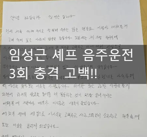  "잠만 잤다더니 200m 주행?" 임성근 셰프 음주운전 판결문과 해명이 다른 이유