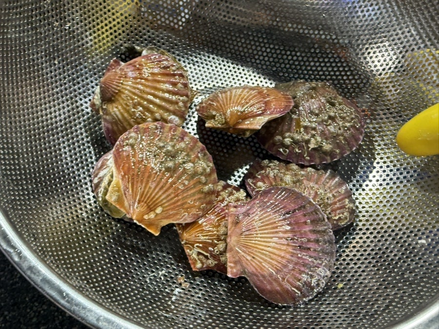 일오삼수산 사진 5