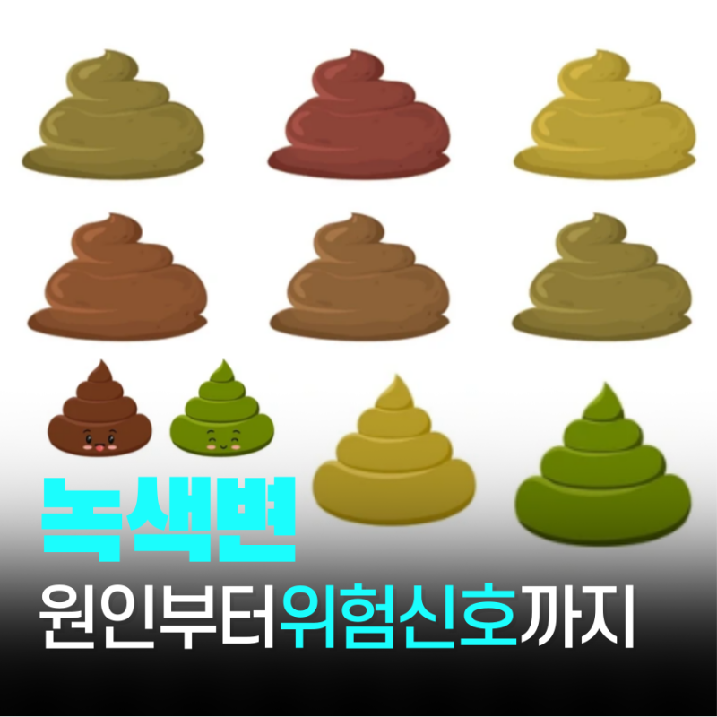 녹색변 원인 해결법 성인 아기 초록변