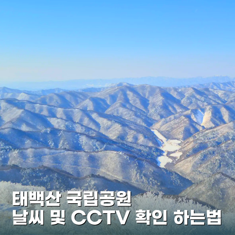 태백산 국립공원 날씨 및 CCTV 확인하는 법은?