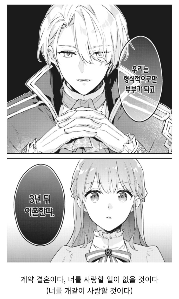  영애물 만화 특징.manhwa