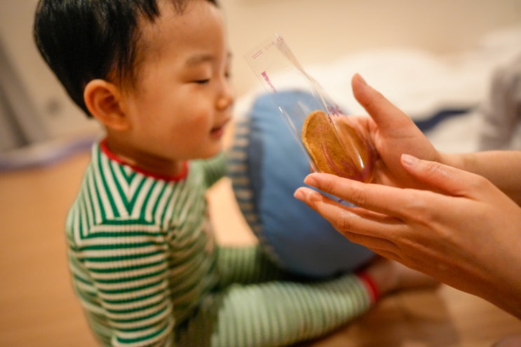  경주 찰보리빵 황남빵 비교, 4살 쌍둥이가 숨도 안쉬고 먹는 이유 3가지 (보관 꿀팁)
