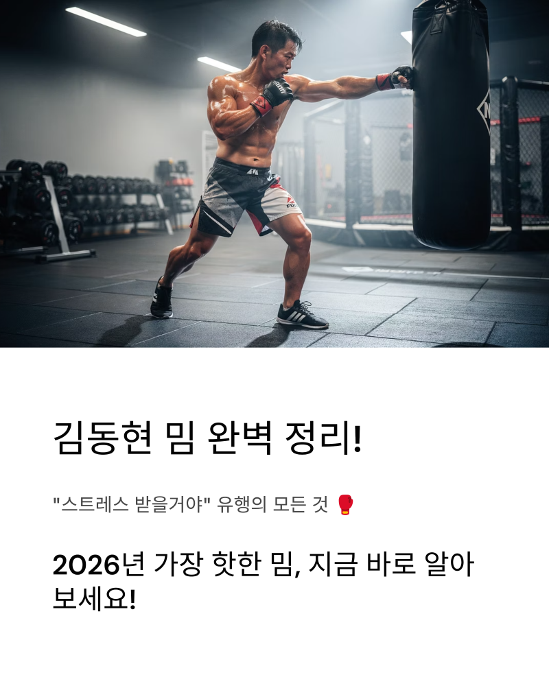 김동현 밈 완벽 정리! "스트레스 받을거야" 유행 총정리