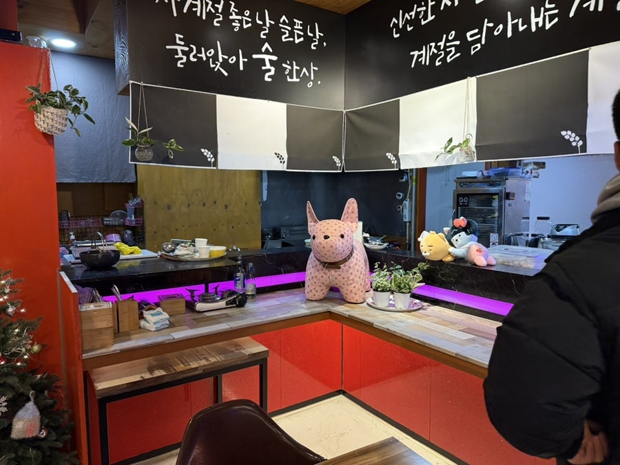 모링가 사진 5