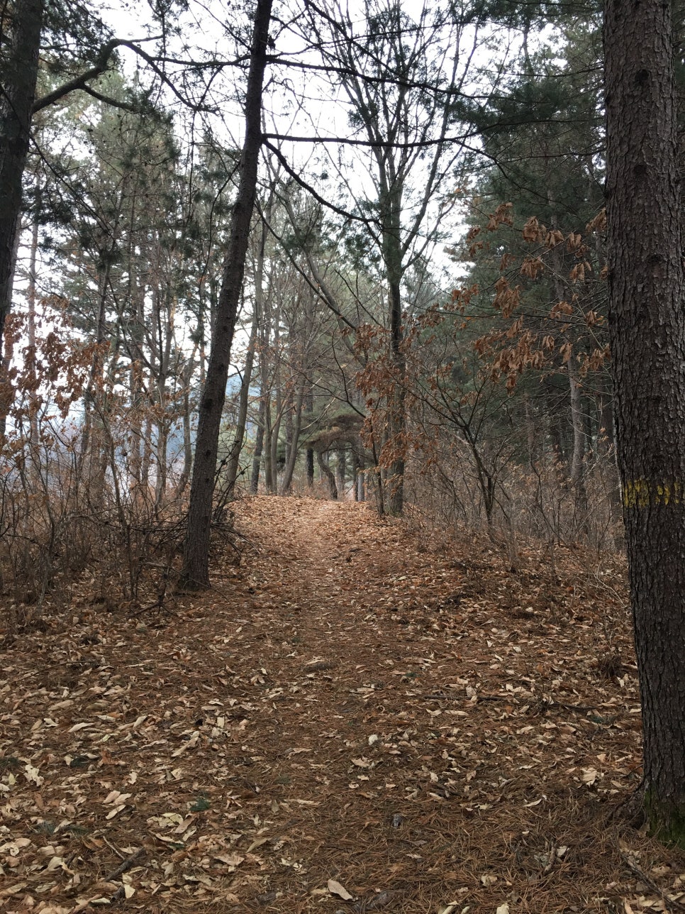 오룡산 사진 4