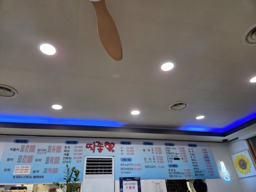 딱좋아회수산 사진 5