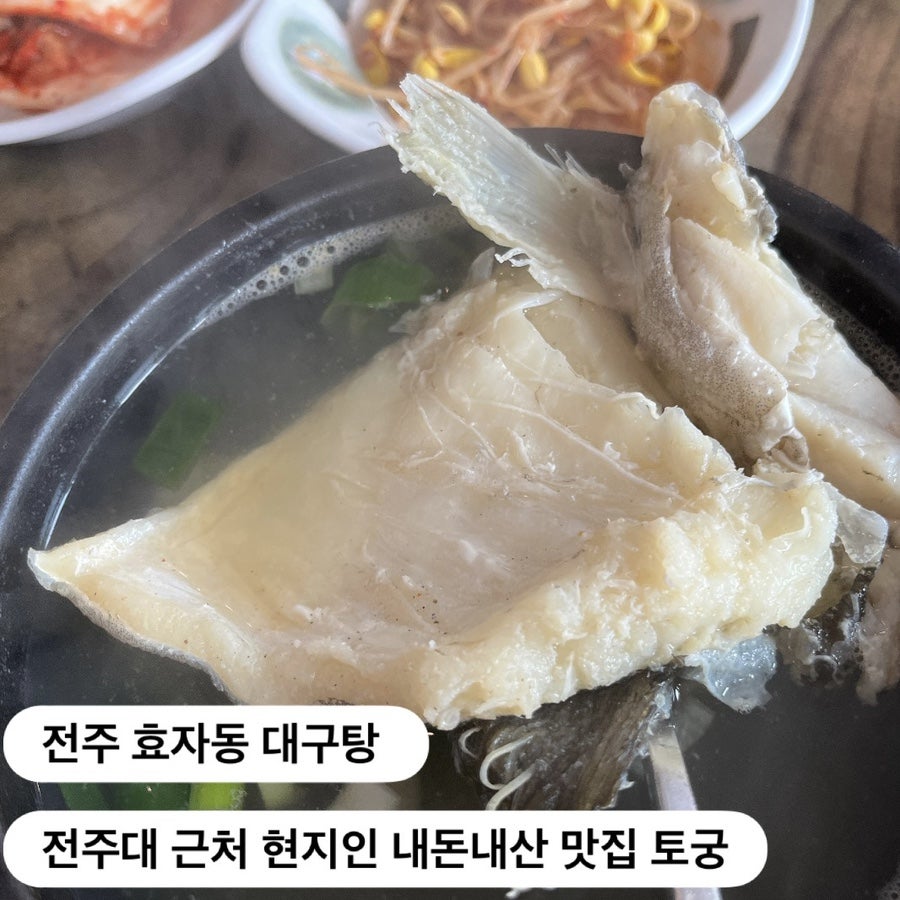 토궁 사진 1