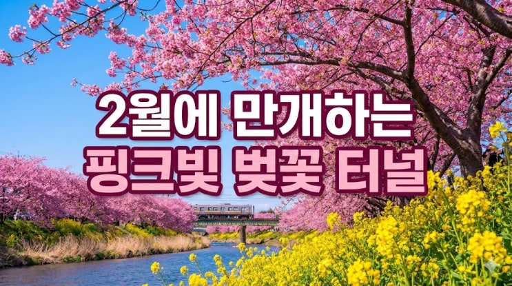  벌써 벚꽃이? 도쿄 근교 '이즈' 가볼만한곳 BEST 5 (가와즈 벚꽃/날씨/준비물)