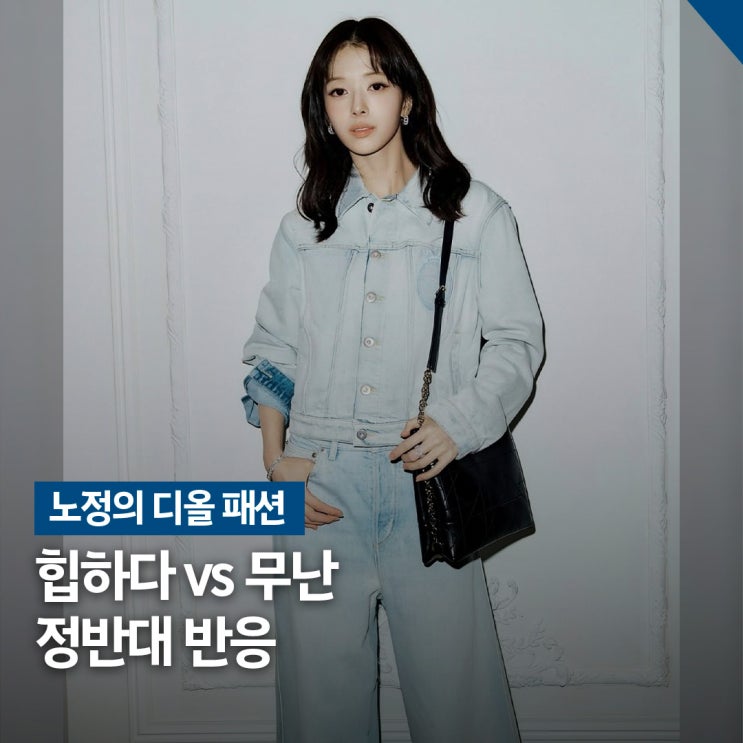  미모는 완벽했는데.. 노정의 디올 청데님 패션 반응 정리
