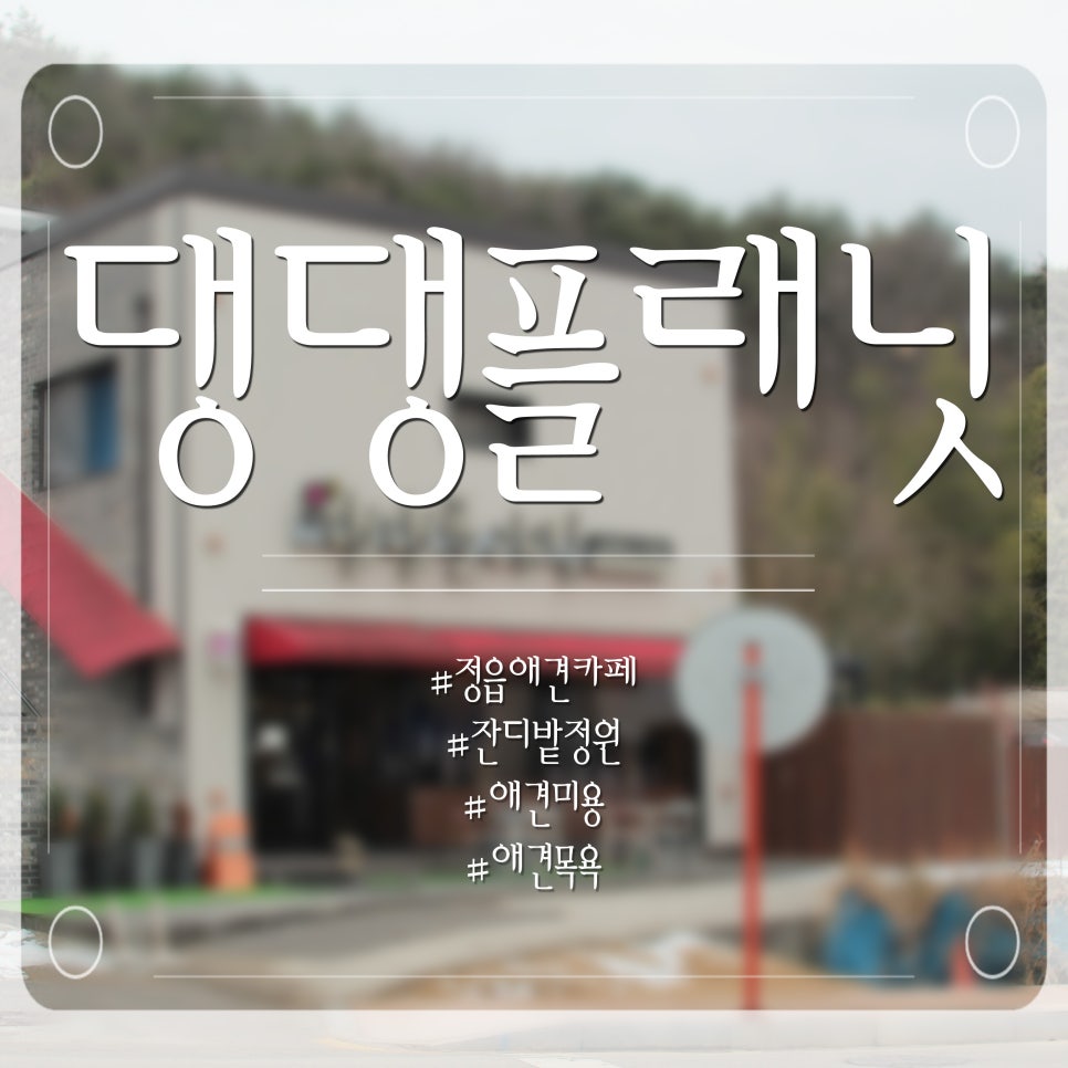 댕댕플래닛 사진 1