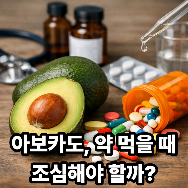  아보카도와 약물 상호작용 주의사항｜혈압약·항응고제 복용 중이라면 꼭 확인