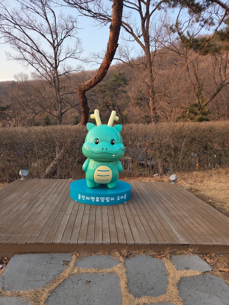 용인 자연휴양림 1박2일 느티골 후기