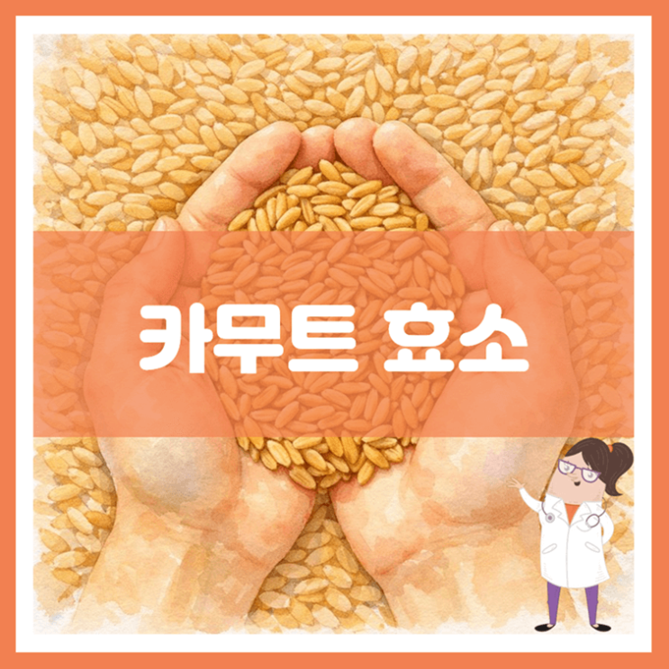  카무트 효소 3가지 효능 섭취방법 부작용