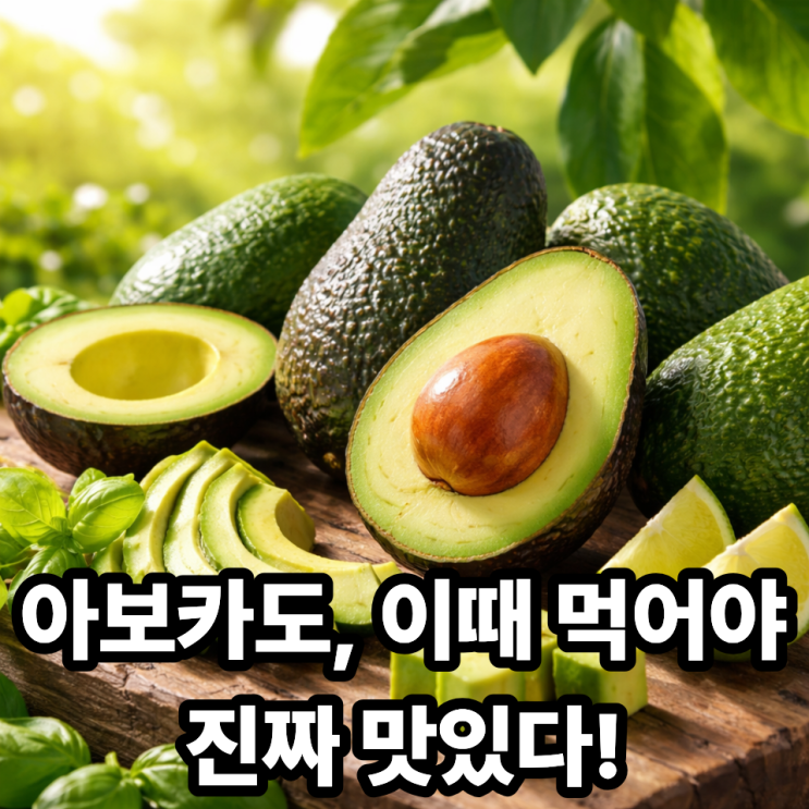   아보카도 제철, 가장 맛있는 시기는 언제일까?