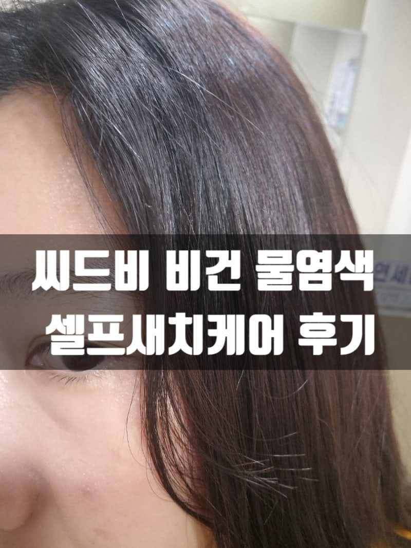 씨드비 비건 물염색약 내돈내산 셀프새치케어 리뷰