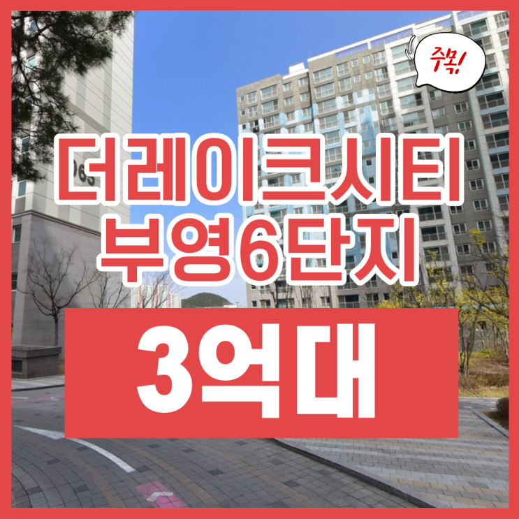  더레이크시티부영6단지 동탄아파트경매 물건 분석