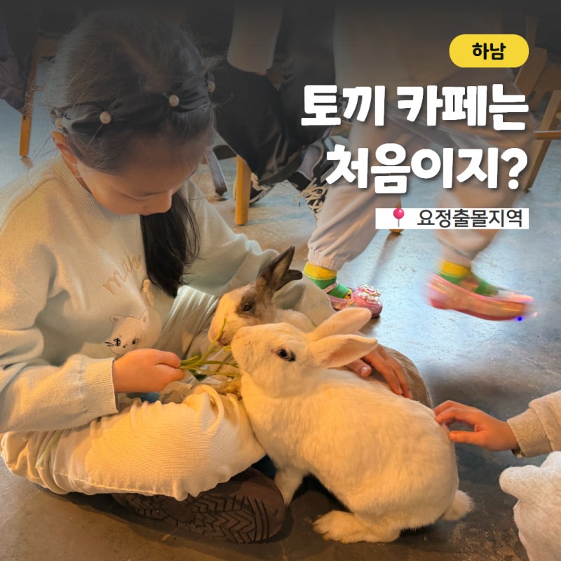 어서와~ 토끼카페는 처음이지? 서울 근교 동물 체험 카페