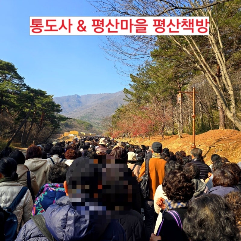 통도사 화엄산림 회향법회와 공양 후기/평산마을 문재인 전 대통령 사저와 평산책방을 돌아....