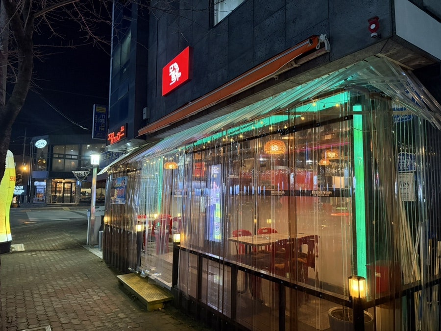 모링가 사진 1
