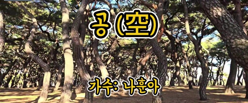 공(空)-나훈아