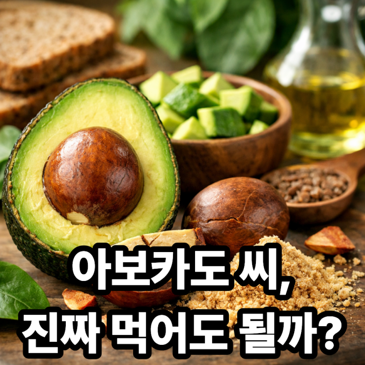 아보카도 씨 먹어도 될까? 효능 소문 vs 실제 주의사항 정리