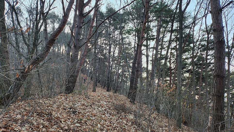 지장골 사진 4