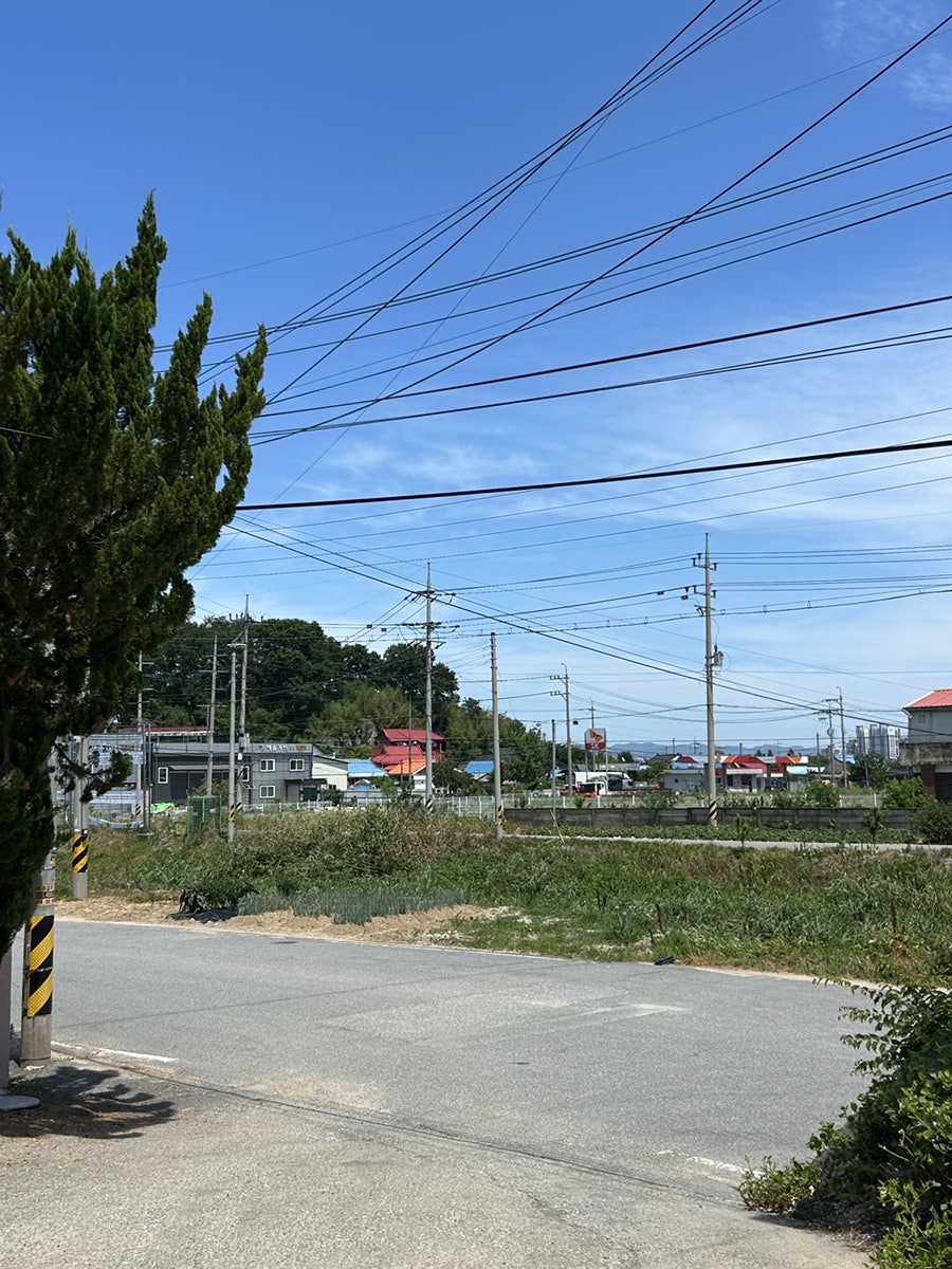 선돌가든 사진 4