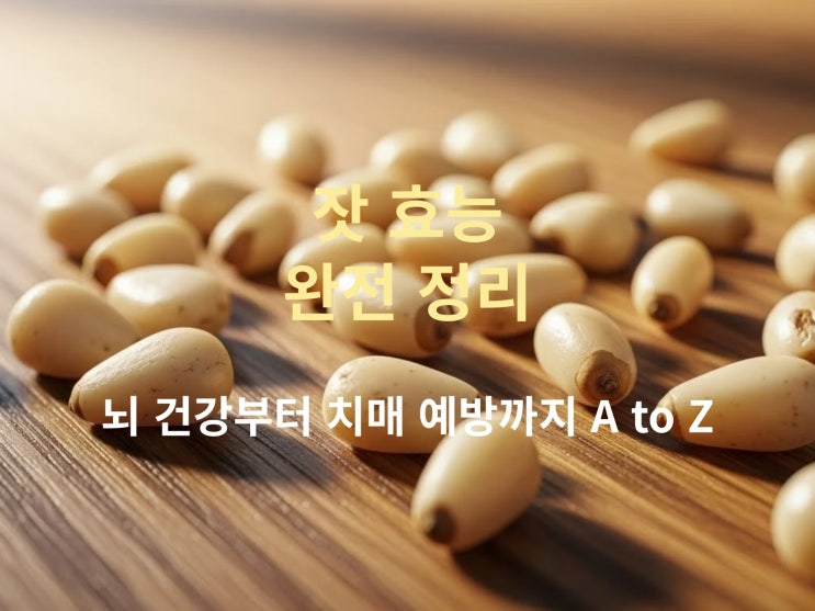  잣 효능 완전 정리: 뇌 건강부터 치매 예방까지 A to Z