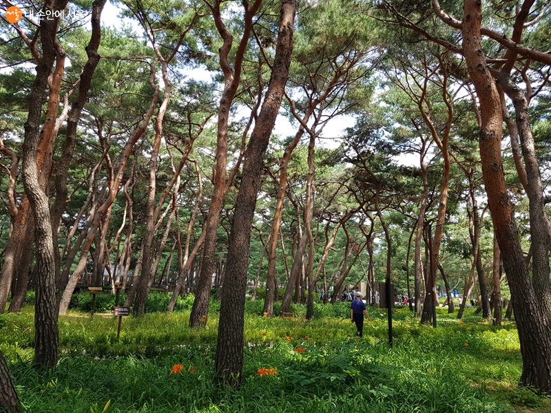장례용품 2편 // 장례식장 관 설명