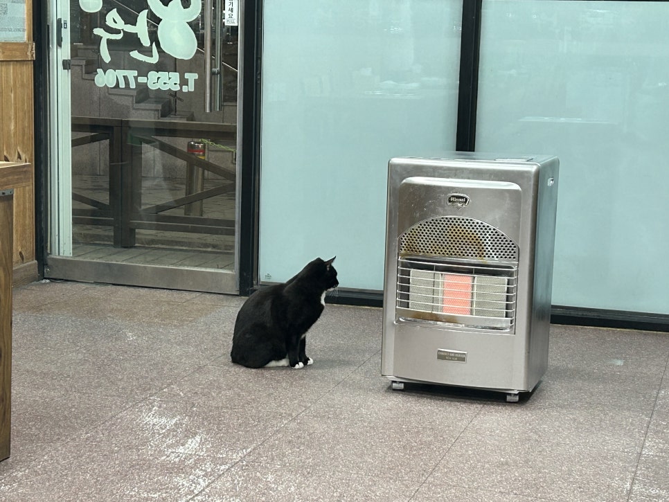 부경한우 사진 6