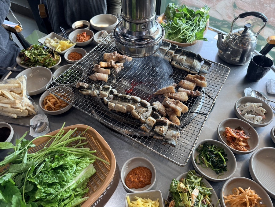청목장어 사진 2
