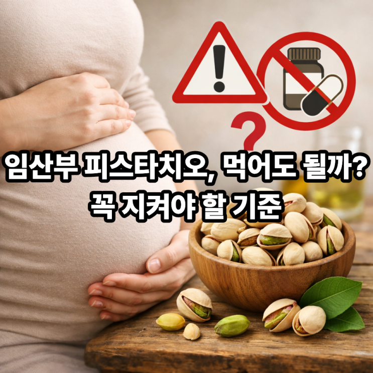  피스타치오 임산부 섭취 시 주의사항｜먹어도 될까? 꼭 알아두세요 