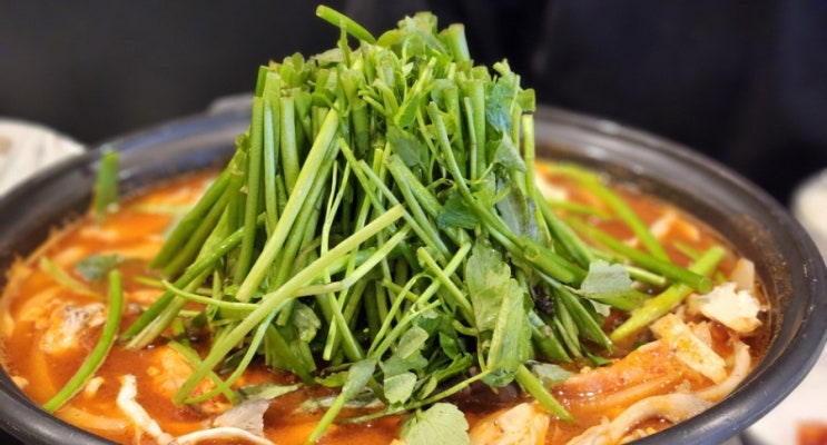  동탄 닭볶음탕 맛집 닭나무집 동탄점 내돈내산 후기