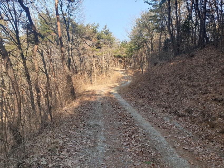 덕암산 사진 4
