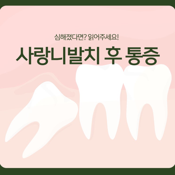  사랑니발치 후 통증, 심해졌다면? 읽어주세요!