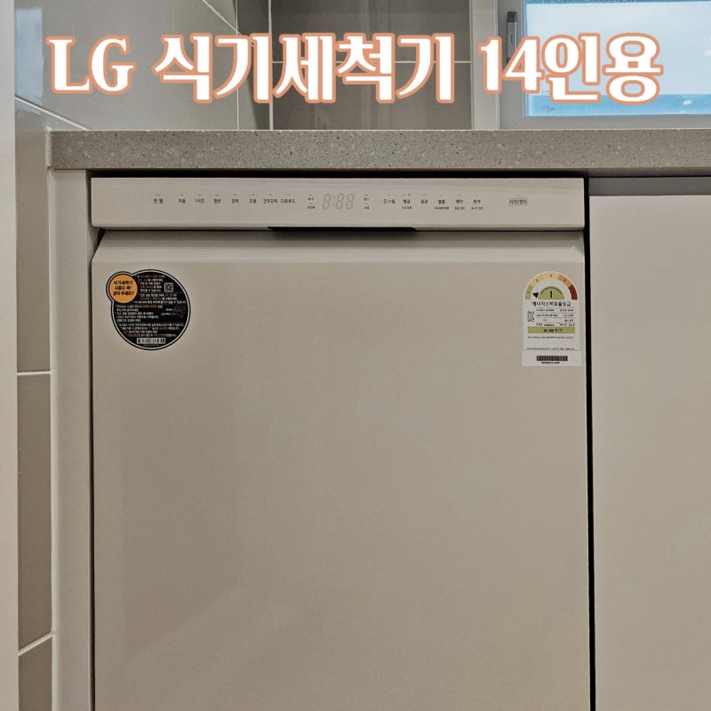 임산부가 4개월 써본 LG디오스 식기세척기 DUE6BGL3E 솔직 후기