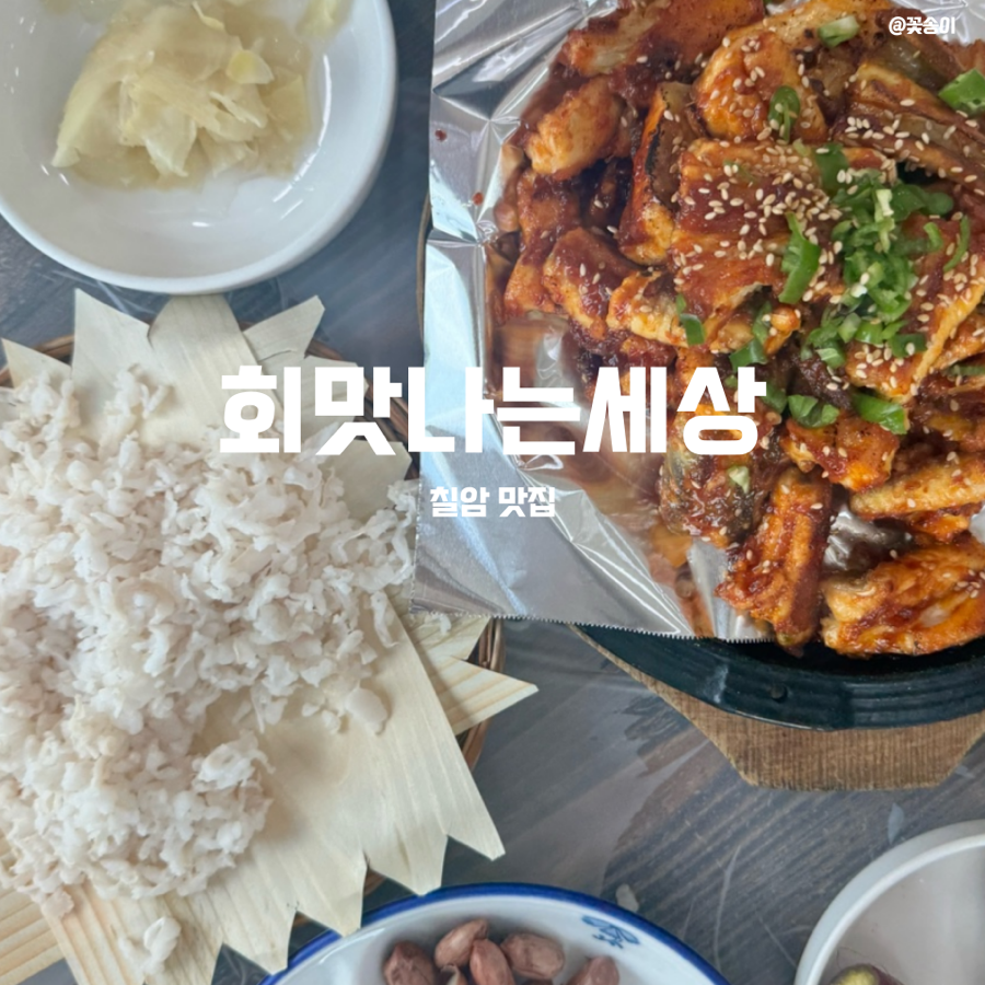 회맛나는세상 사진