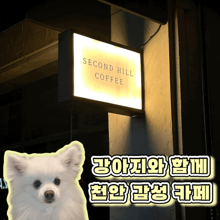  천안 나사렛대 인스타 감성 카페 애견 동반 가능한 세컨드힐