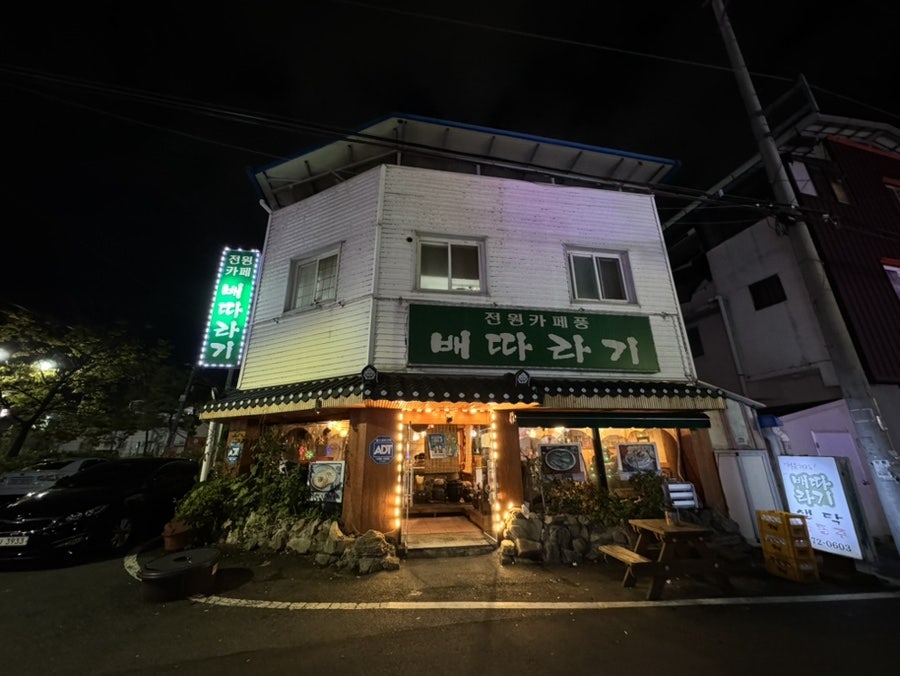 배따라기 사진 2