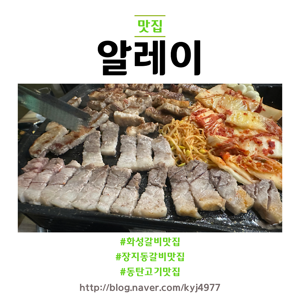 알레이 사진 1