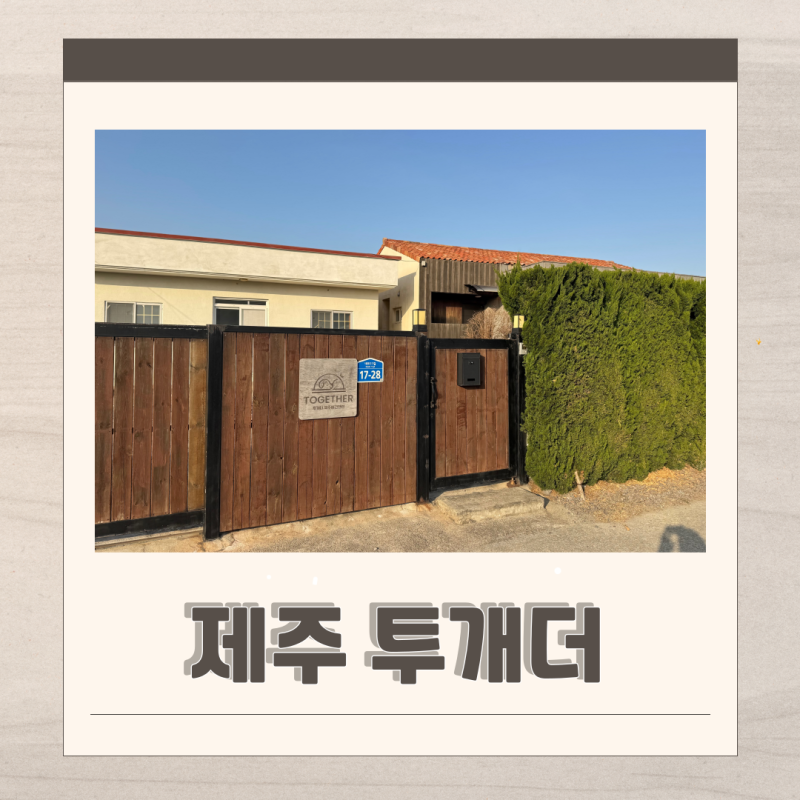사진 3