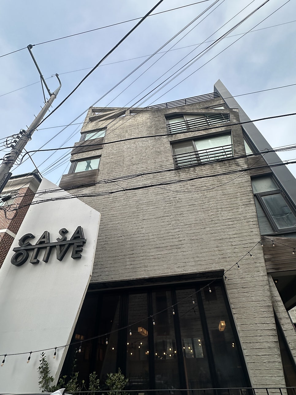 까사올리브 사진 2